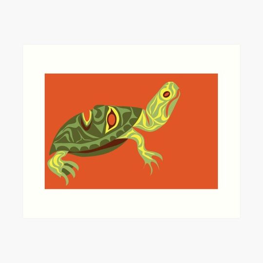 Discover Western Painted Turtle