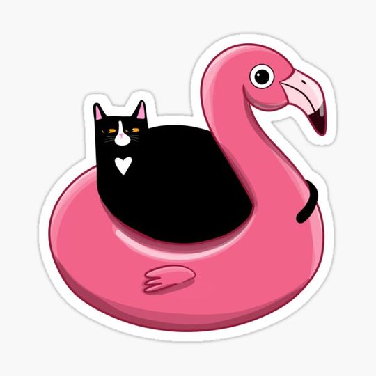 Discover Kitty on a Flamingo Floatie