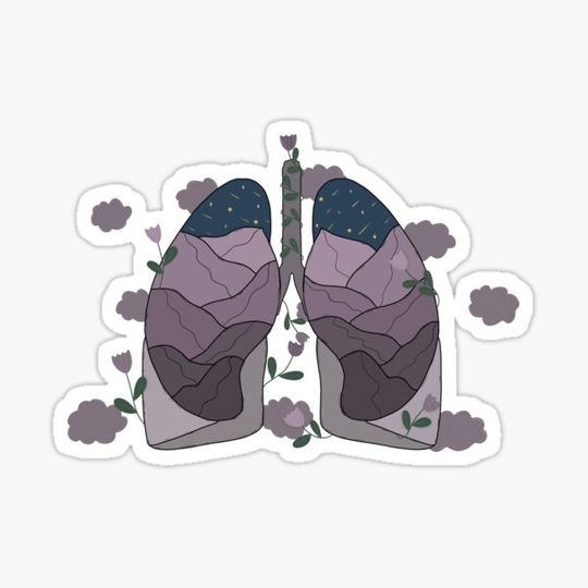 Discover lungs mountains