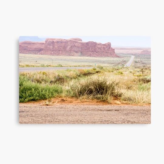 Discover Arizonna landscape