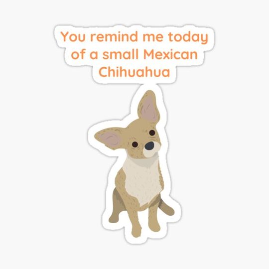 Discover You remind me today of a small Mexican Chihuahua