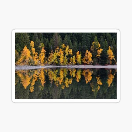 Discover Autumn Reflections