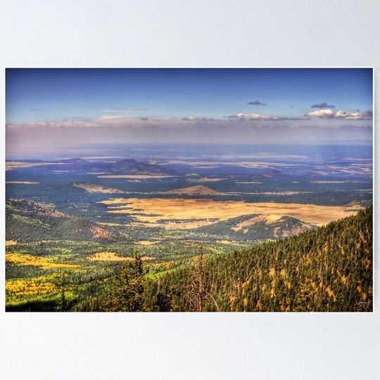 Discover View From The Top
