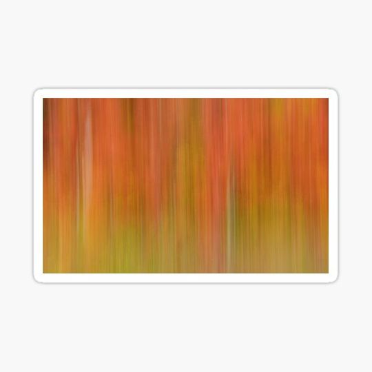Discover Autumn Love