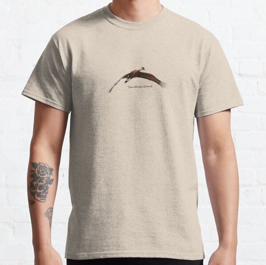 Discover Sandhill Crane in Flight