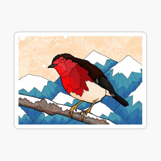 Discover The Christmas Robin