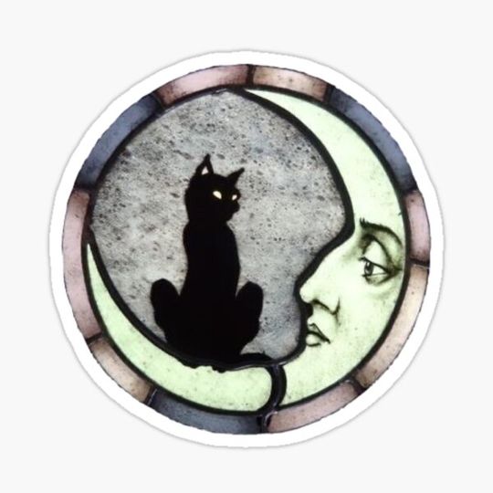 Discover moon and cat 90s celestial