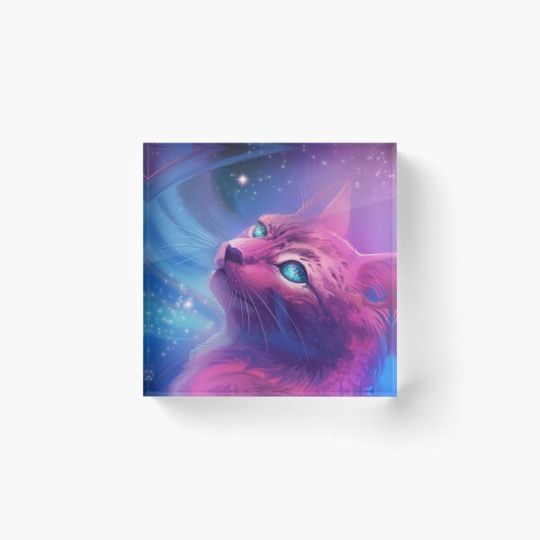 Discover Star Cat