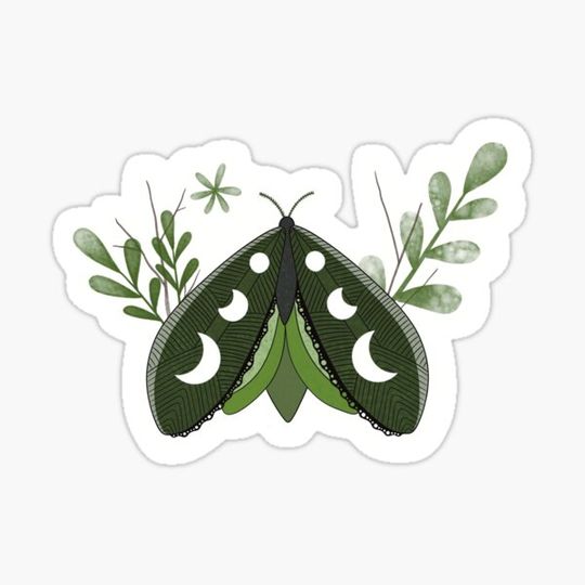 Discover Green Celestial Plant Moth