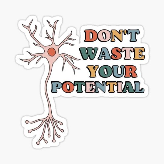 Discover Don't waste your potential