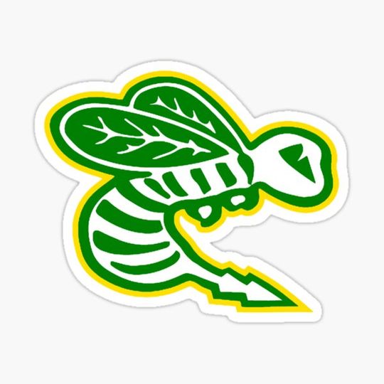Discover EDINA Hornets