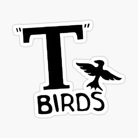 Discover T Birds Logo