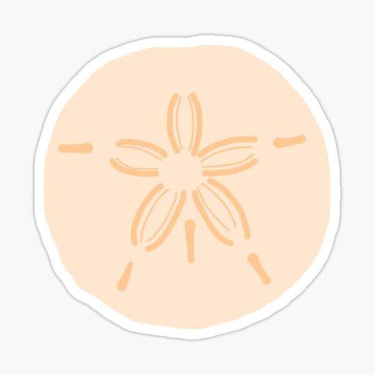 Discover Sand Dollar