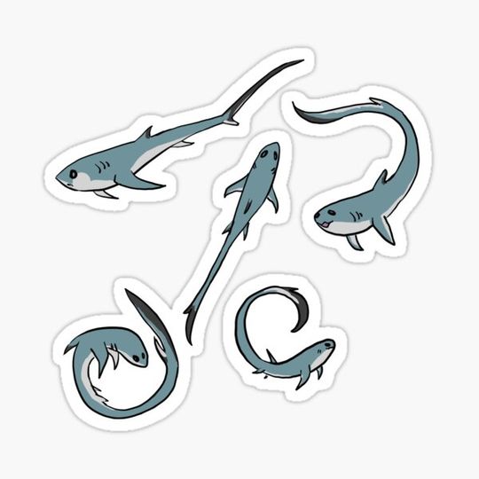 Discover Happy Little Thresher Sharks