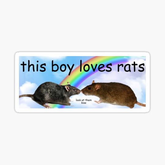 Discover This Boy Loves Rats