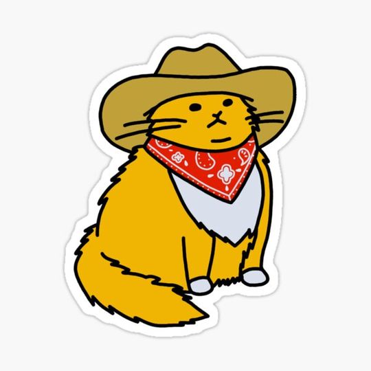 Discover Meowdy Cowboy Cat Active
