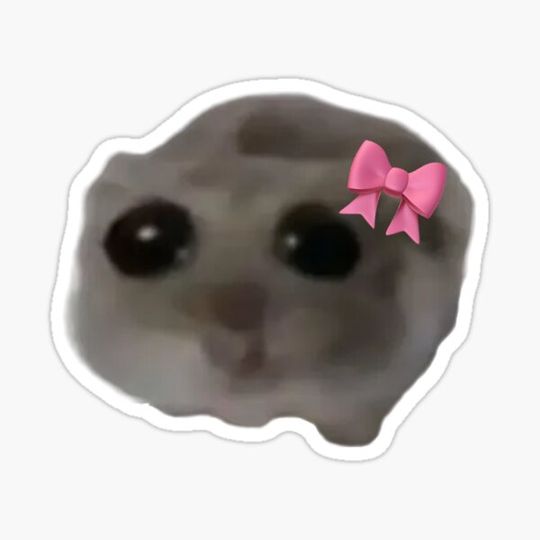 Discover Sad Hamster Meme