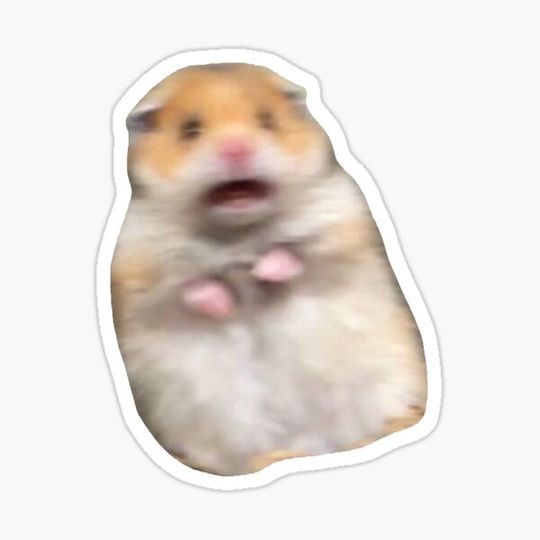 Discover Scared Hamster Meme Sticker