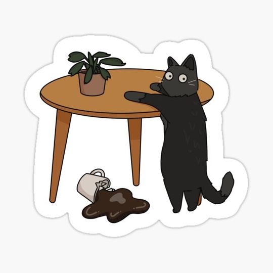 Discover Silly Black Cat Doing Cat Activities