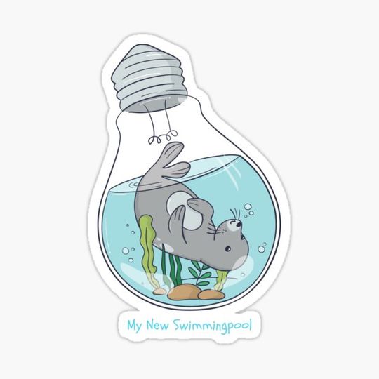 Discover My New Swimmingpool