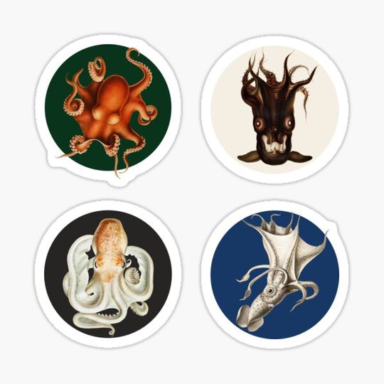 Discover Octopus sticker pack - Sticker set with 4 round stickers