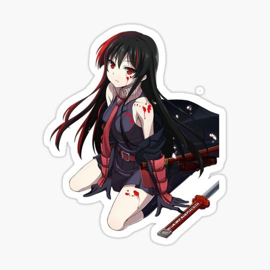 Discover Akame