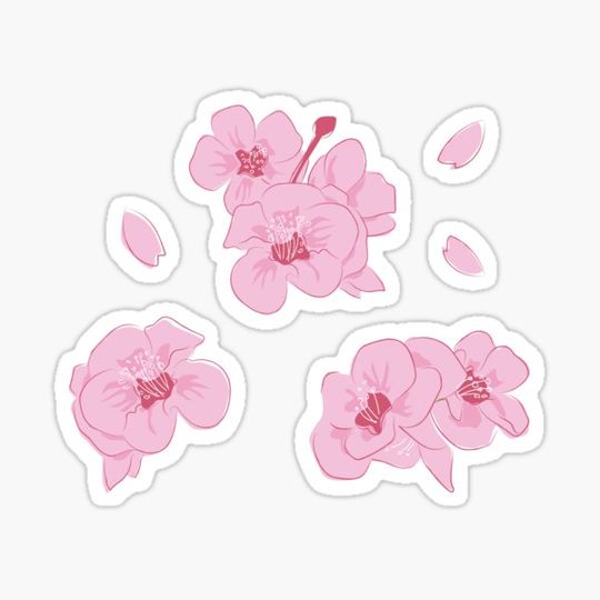 Discover Cherry Blossoms Set