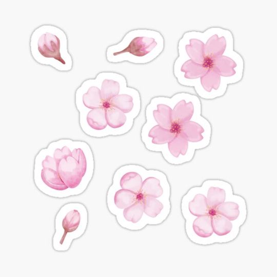 Discover Cherry blossom watercolor sticker