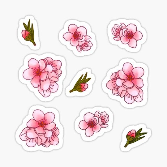 Discover Peach Flower Sheet