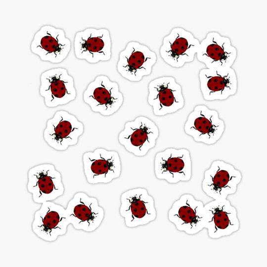 Discover Red Ladybugs
