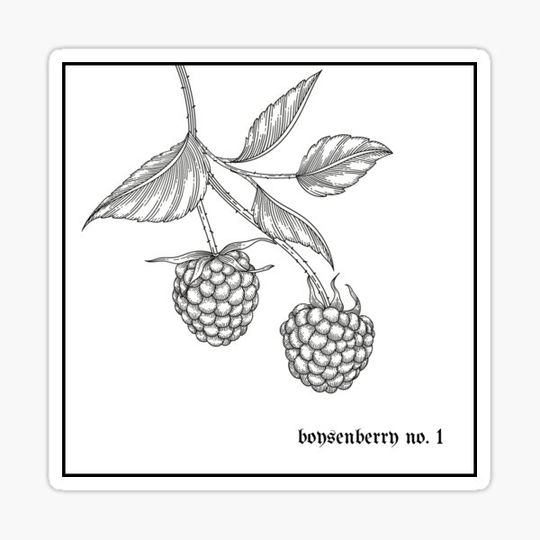 Discover boysenberry no. 1