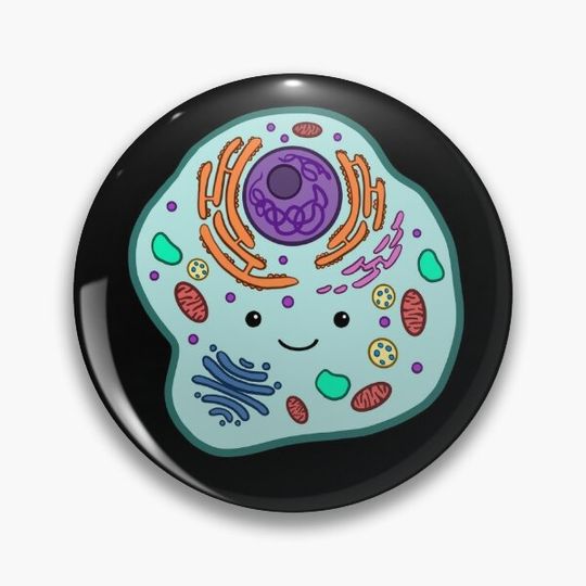 Discover Animal Cell