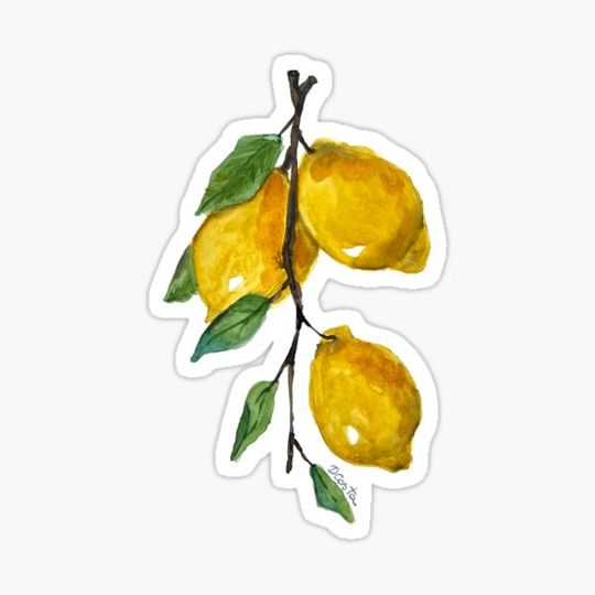 Discover Sweet Lemons