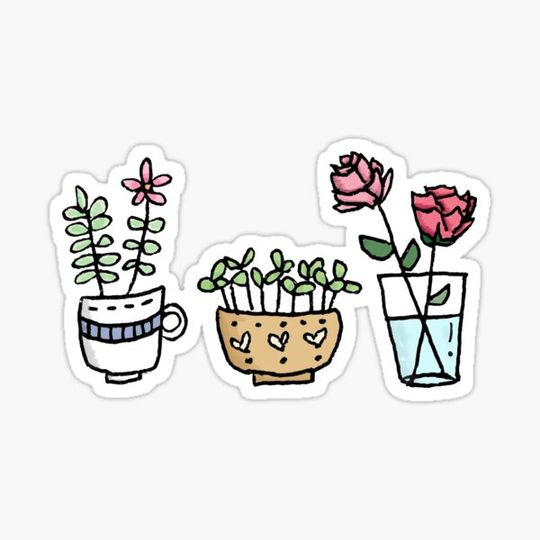 Discover Colorful plants