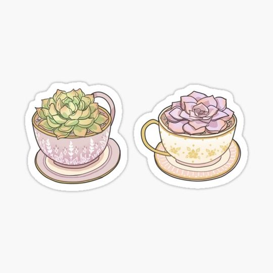 Discover Succulents & tea cups