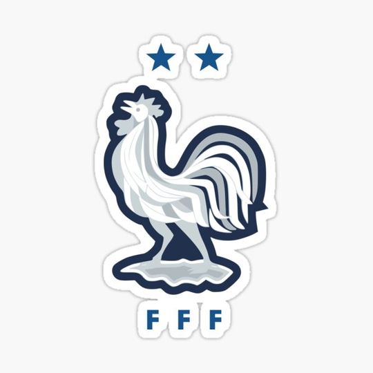 Discover France national football team