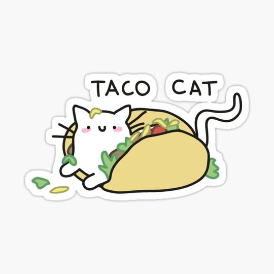 Discover taco cat