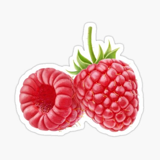 Discover Raspberries