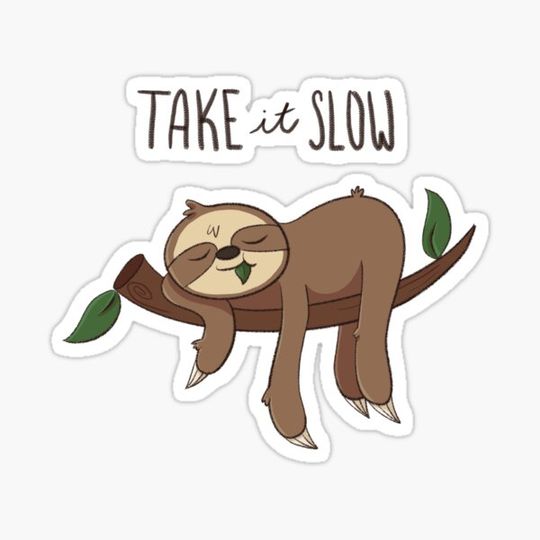Discover Cute Sloth - Take it Slow