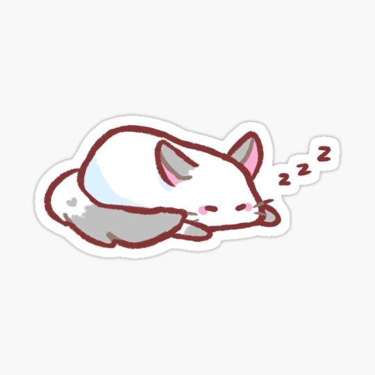 Discover Sleepy Chinchilla