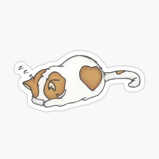 Discover Sleepy Kitty