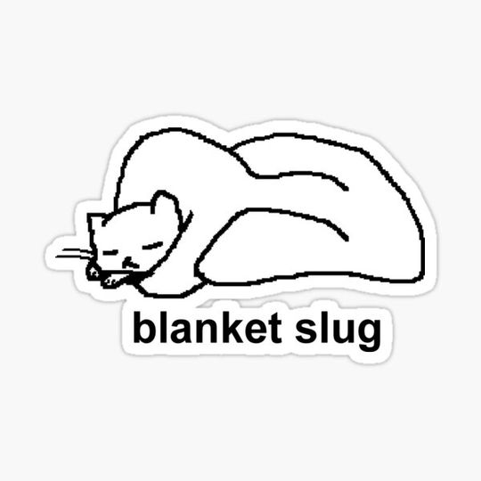 Discover blanket slug