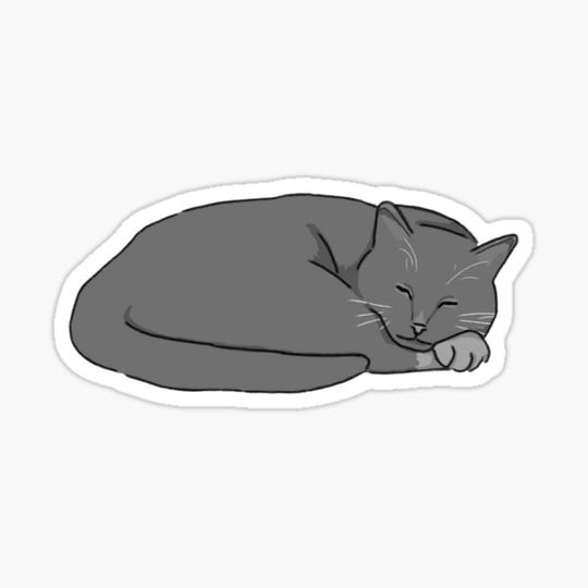 Discover sleepy kitty