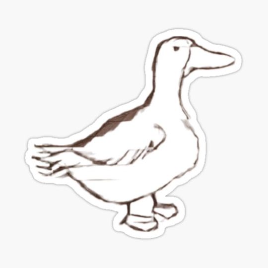 Discover Waki the duck