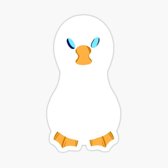 Discover Duck