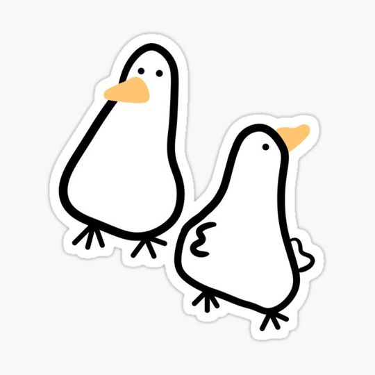 Discover Cute Ducks