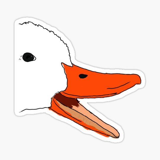 Discover Screaming Duck