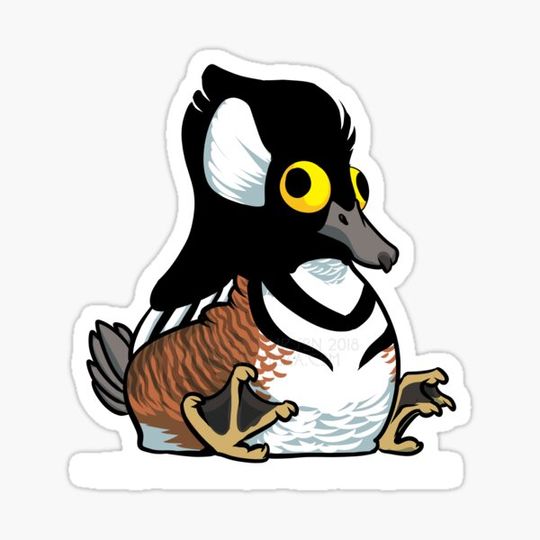 Discover Fat Hooded Merganser