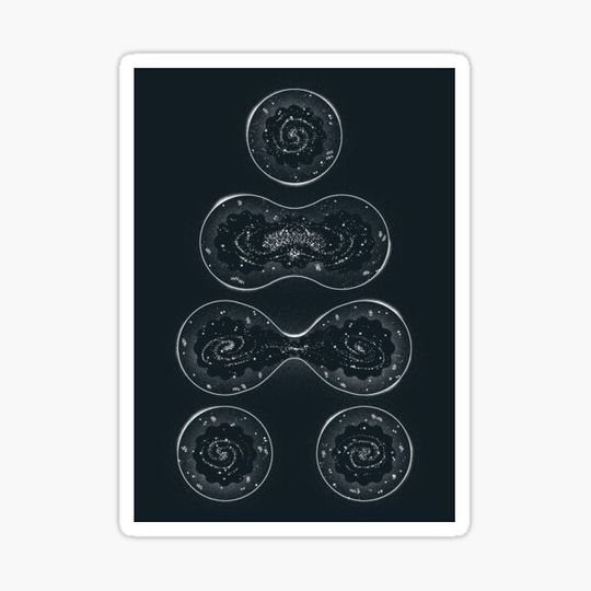 Discover Infinite Expanding Cell Division Universe Science