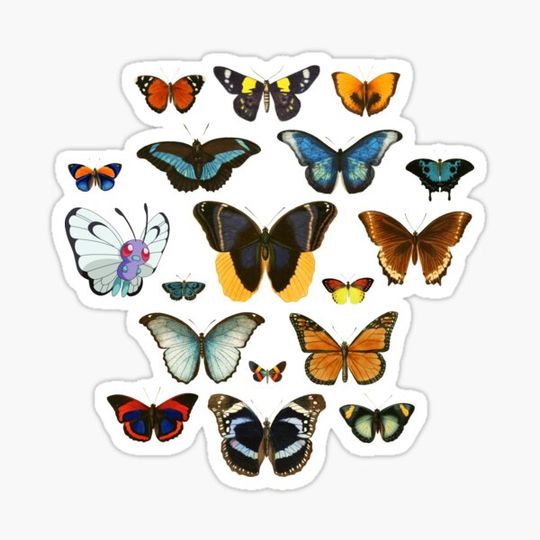 Discover Entomology